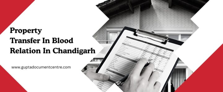 Property Transfer In Blood Relation In Chandigarh