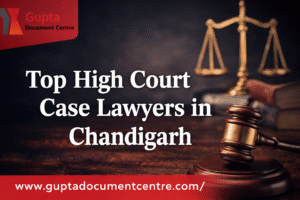 Top High Court Case Lawyers in Chandigarh